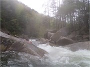 Wilsons Creek 114